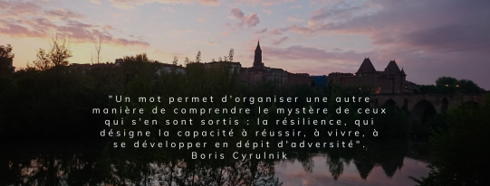 image IMG_resilience82.png (0.9MB)